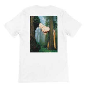 d991f8c3-c50c-47be-b0e5-1e004fb56343