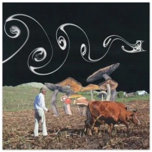 ba074bb9-aba4-4027-b2d7-8c3d54d4fd9a