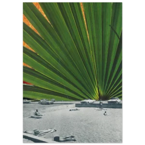 d260d9d4-f4ed-4954-8aac-c8048d9cf561