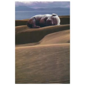 fb4aabb3-a756-4cad-84a7-72fb5138145d