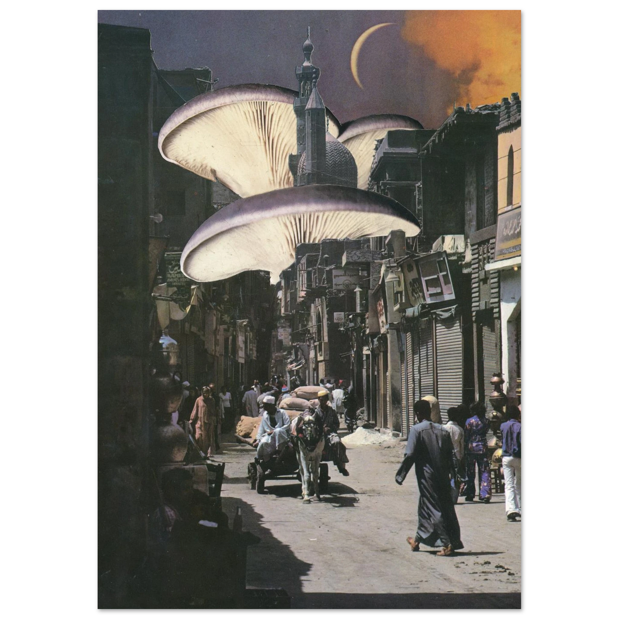 14b69265-bc81-4fbc-8b86-a59380237f4e