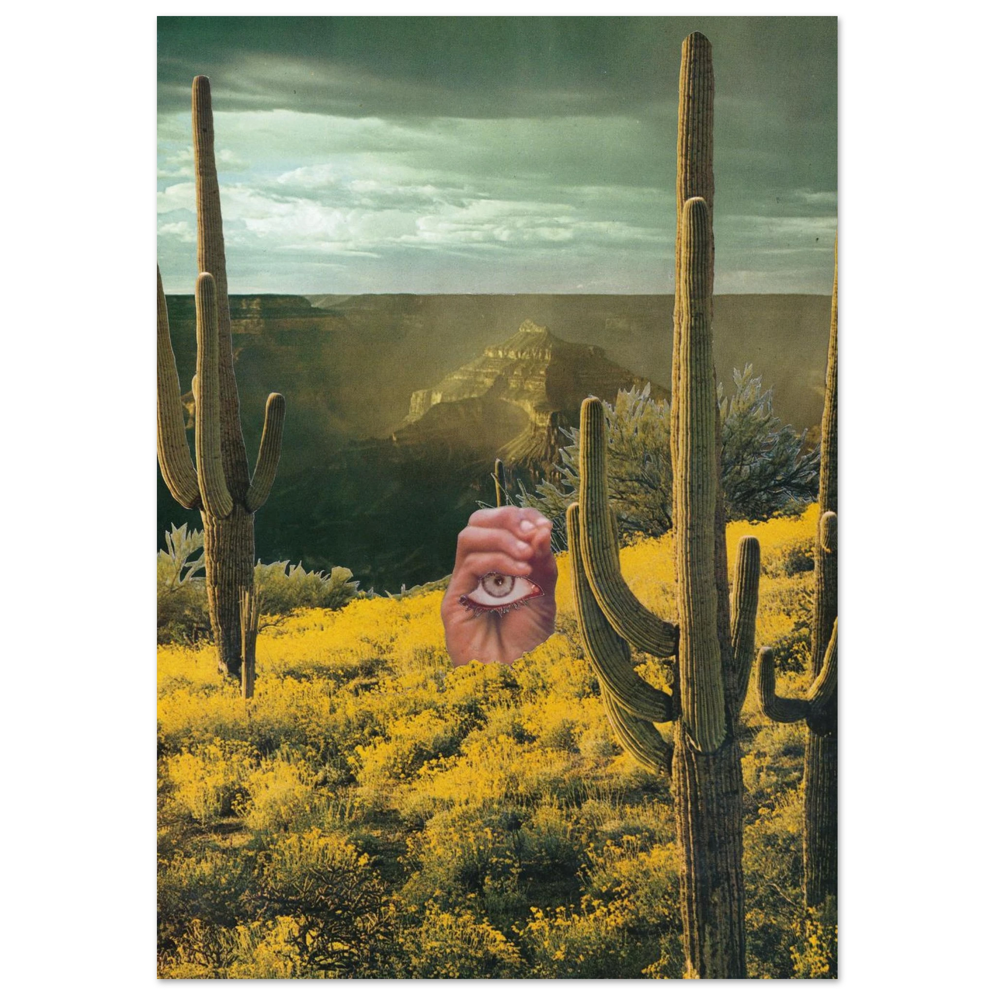 210eb850-6927-4c05-8c9f-3575fcfcc035