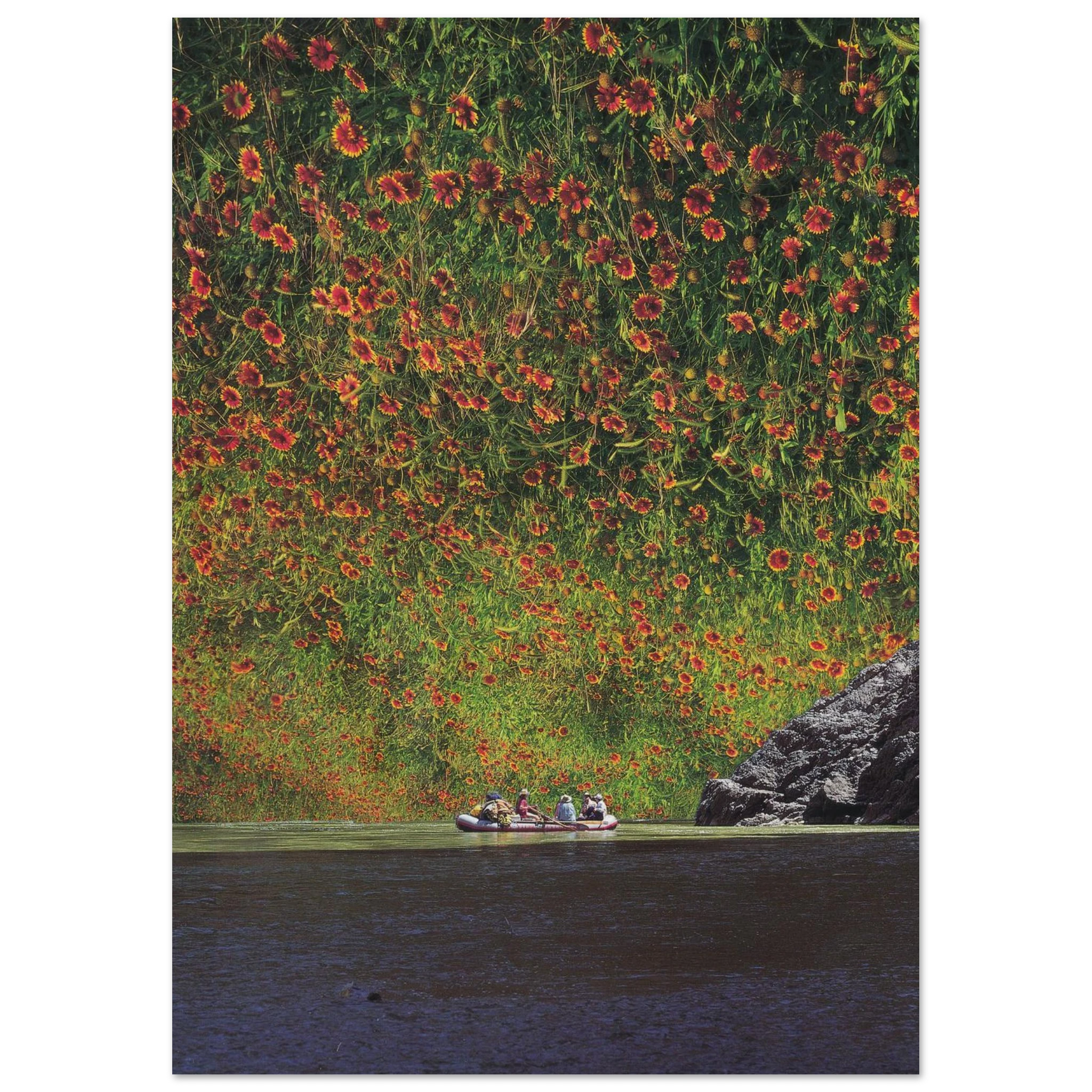 aaf0942e-a55c-41e1-8cb1-a8a04cb5638a