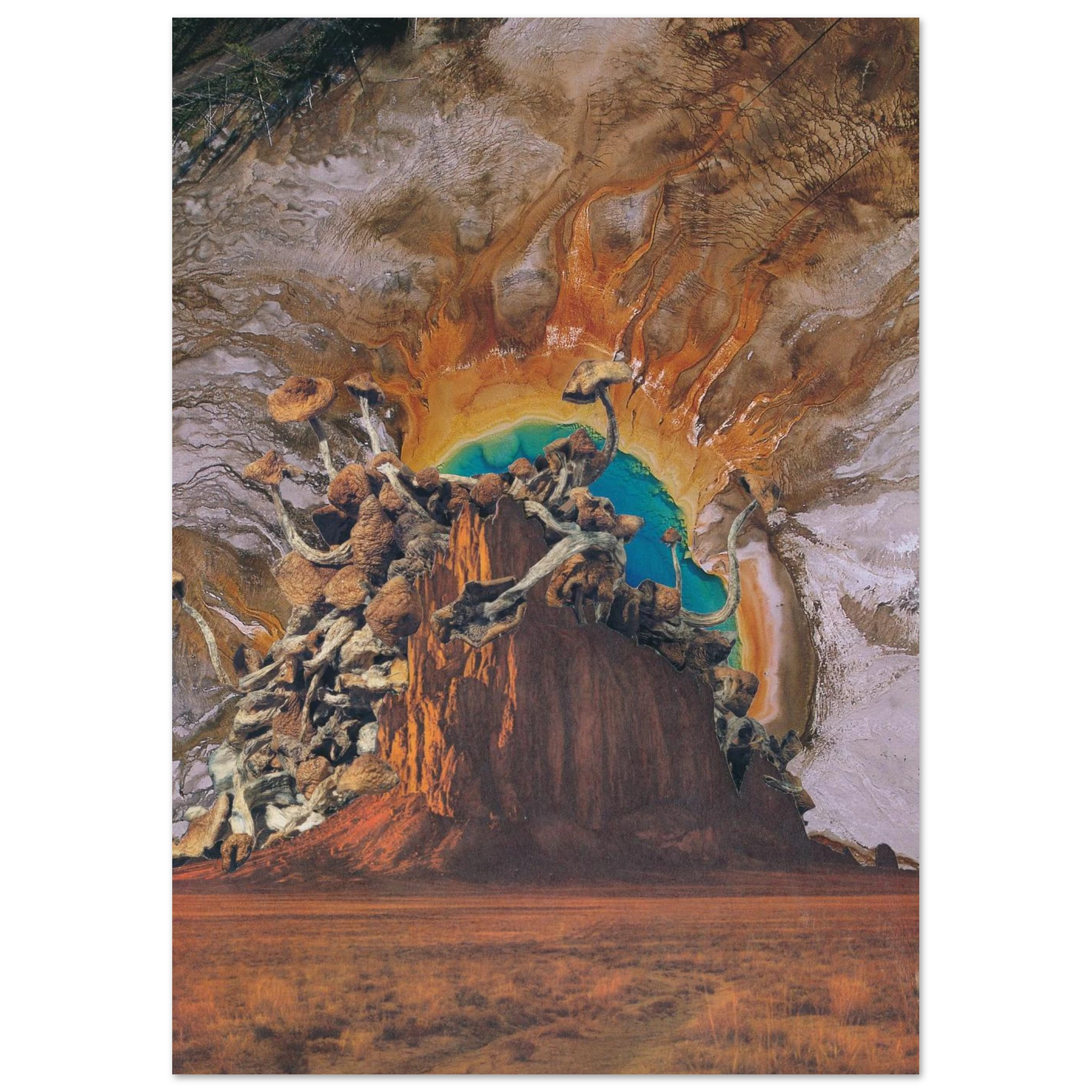 d3d16f2c-f4a4-4027-969b-27d7ff7b8040